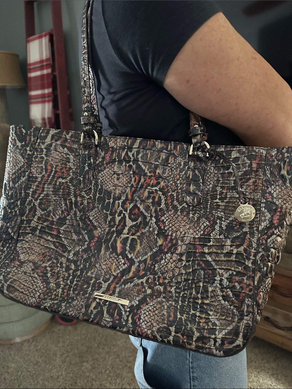 Brahmin Multi-Tone Snake-Print Tote in Brown and Black